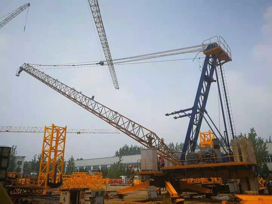 Prezzo buono Controllo di frequenza 30m Jib Derrick Crane, 440V per smantellamento Inncer Climbing Construction Crane in linea