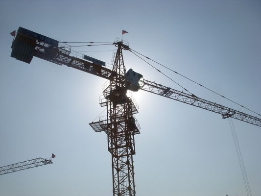 Prezzo buono Meccanismo di arrampicata della gru della torre di costruzione in linea