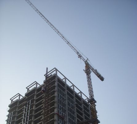 Prezzo buono Granata elettrica a torre autoarrampicante 50Hz con capacità di sollevamento di 12 tonnellate Tipo di pannello in linea