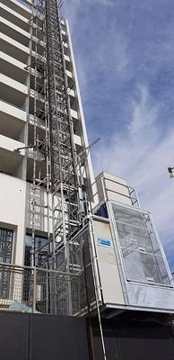 Prezzo buono Fabbricazione di ascensori a cavallo, CE Buck Lift Elevator in linea